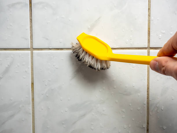 Best Toxic Mold Removal  in Dickson City, PA